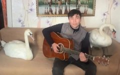 Сельчанин передал спасенных лебедей в зоопарк в Павлодарской области