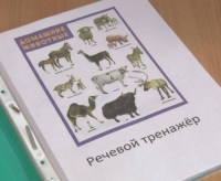 Павлодарские педагоги разработали уникальный речевой тренажер для детей с особыми образовательными потребностями