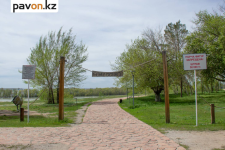 Сохранению павлодарской "Гусинки" может помешать создание в пойме нового природного резервата