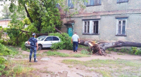 В Павлодаре во время бури на девушку упало дерево