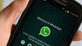 Задать вопрос о госуслугах и коррупции можно с помощью WhatsApp