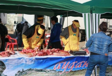 22 января в Павлодаре пройдет традиционная сельхозярмарка