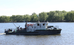 Упал за борт: капитана теплохода ищут в Павлодарской области