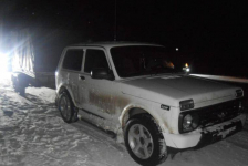 Тушу застреленного дикого кабана обнаружили полицейские у трассы в Павлодарской области