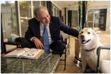 Собака премьера Израиля покусала высокопоставленных гостей политика