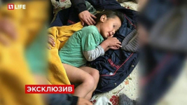 Выживший в России: 3-летний мальчик прожил в тайге без еды (фото)