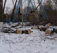 Павлодар қаласындағы саябақтардың көбі қанағаттанарлық жағдайда емес