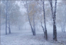Погода в Павлодаре