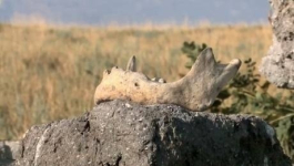 В Павлодарской области находятся ранее неизвестные могилы султанов, потомков Абылай хана