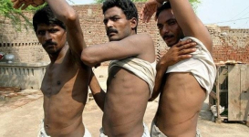 В Индии разоблачили медиков, торговавших человеческими почками