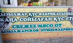 Руководство Павлодарской области верит в то, что Кызылжарская птицефабрика начнет работать