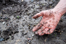 В Баянауле женщина застряла в болоте