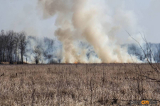 Система раннего обнаружения лесных пожаров в Павлодарской области заработает уже в апреле