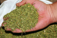 Почти 25 кг марихуаны обнаружили у жителя Экибастуза