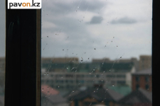 Дождливую неделю обещают синоптики в Павлодаре