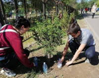 Юные павлодарцы самостоятельно соорудили капельный полив для деревьев в школьном дворе