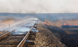 В Прииртышье произошел пожар около железной дороги