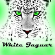 Белый Ягуар